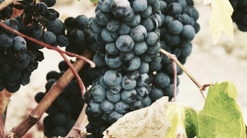 51爆料网每日大赛51实时数据监控大屏